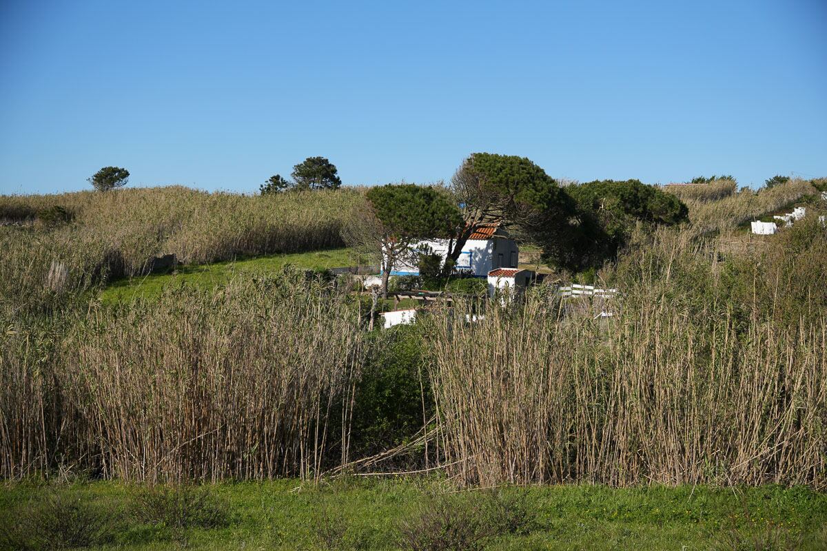Sintra, Lisbon, photo 2 of 8
